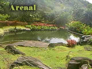 Termal Waters of Arenal Volcano