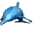 dolphin