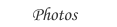 View our online photo albums and slide shows...